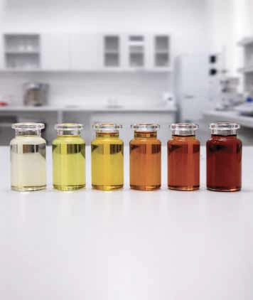 Oil color testing body copy